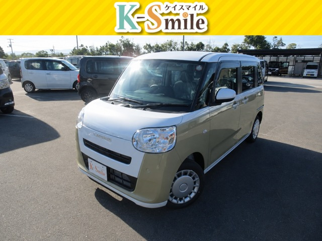 ムーヴキャンバス  ストライプス X