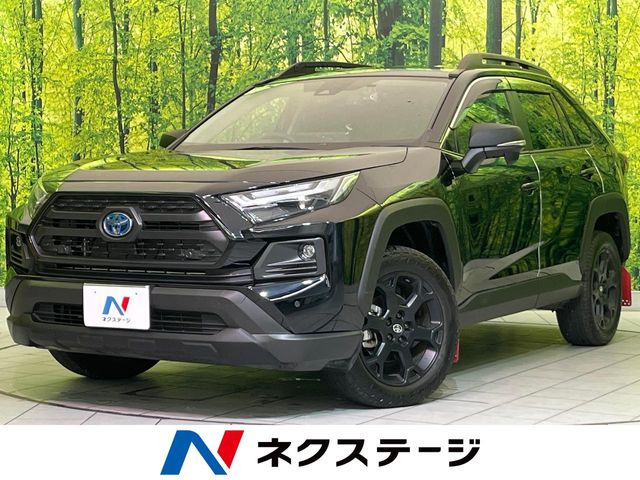 RAV4 2.5 ハイブリッド アドベンチャー オフロードパッケージ II E-Four 4WD 