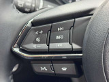 ステアリング左側にはオーディオやハンズフリー通話の操作スイッチを配置。運転中も視線を外さずにボリューム調整や曲送り、インフォメーションディスプレイの切り替えが可能です。