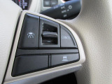 アダプティブクルーズコントロールで高速での運転がラクになります(^_^.)