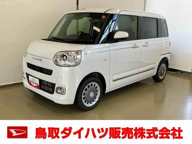 ムーヴキャンバス  セオリー G