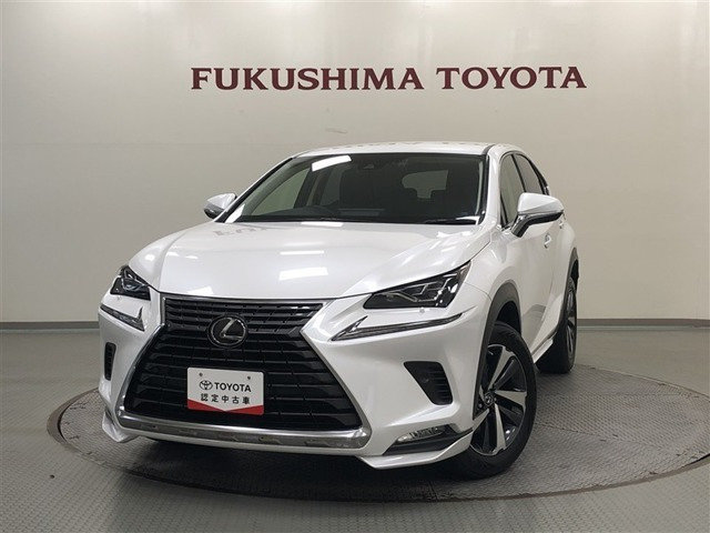 NX 300 バージョンL 