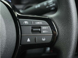 ◆アダプティブクルーズコントロール◆予め設定した車速内でクルマが自動的に加減速。前走車との適切な車間距離を維持しながら追従走行します。【LKAS】車線維持支援システムでステアリング操作を支援。