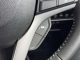 ステアリングに装備されたレーンキープアシストスイッチ。システムをONにすると、車線維持をサポートする機能が作動し、高速道路や自動車専用道路などで、運転負担を軽減し安全な走行をアシストします。
