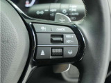 ◆アダプティブクルーズコントロール◆予め設定した車速内でクルマが自動的に加減速。前走車との適切な車間距離を維持しながら追従走行します。【LKAS】車線維持支援システムでステアリング操作を支援。