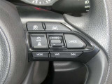 アクセルを踏み続けなくても、速度をキープ!