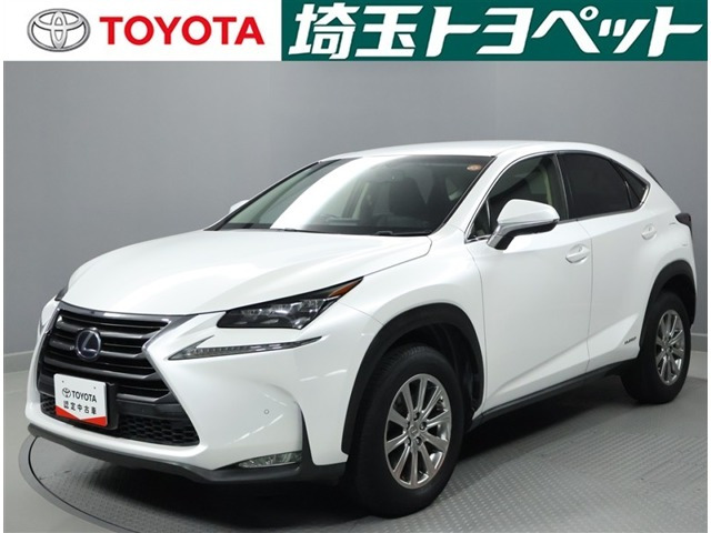 NX 300h Iパッケージ