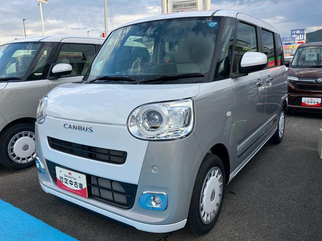 ムーヴキャンバス  ストライプス G