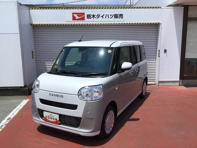 ムーヴキャンバス  ストライプス X