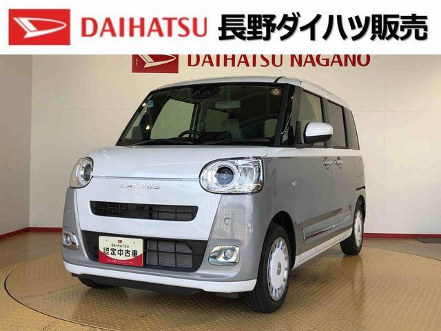 ムーヴキャンバス  ストライプス G
