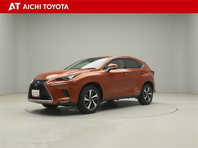 NX 300h バージョンL 