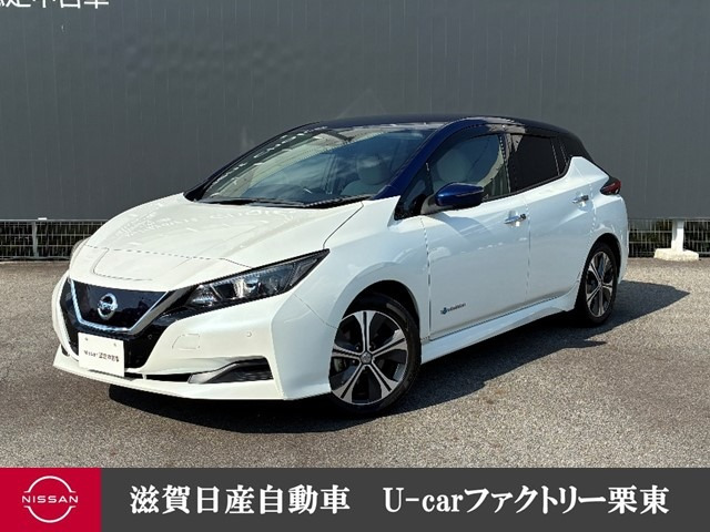 リーフ X