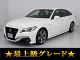 参考画像となります