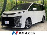両側電動ドア 後席モニター 10型純正ナビ バックカメラ
