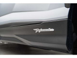 Full exterior carbon fiber package  - Matt