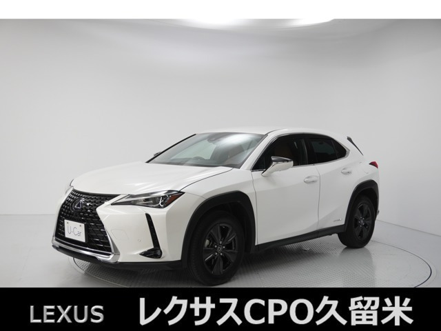 UX 250h バージョンC 