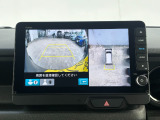 マルチビューカメラ、Pセンサー