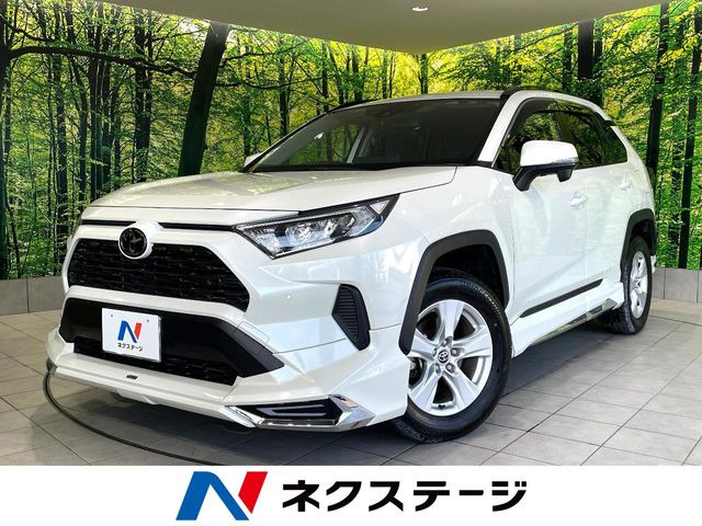 RAV4 2.0 X 