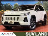 サンルーフ 全周囲カメラ デジタルインナーミラー HUD