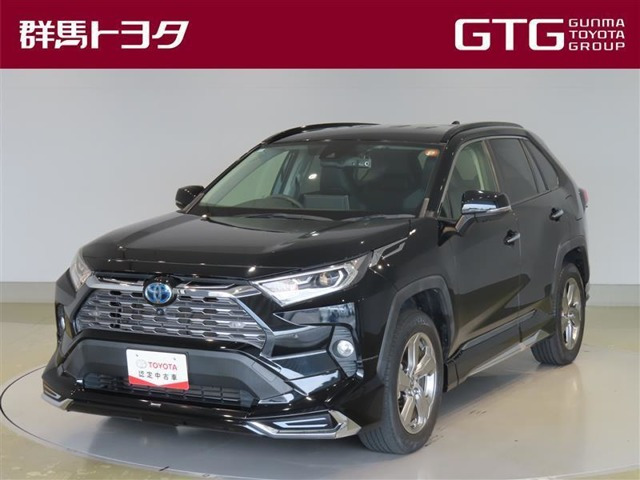 RAV4 2.5 ハイブリッド G E-Four 4WD 