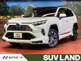 4WD フルエアロ 全周囲カメラ 衝突被害軽減システム 電動リアゲート