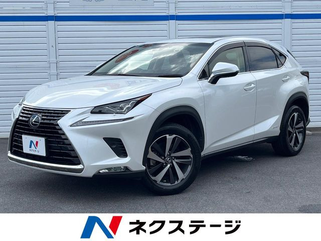 NX 300h Iパッケージ