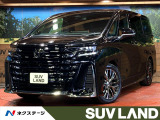 ガラスルーフ 両側電動ドア 後席モニター 全周囲カメラ 100V電源 衝