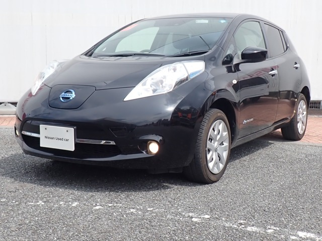 リーフ 30kWh X 