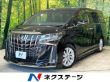 モデリスタエアロ メーカーナビ 全周囲カメラ JBLサウンドシステム