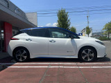 リーフ G