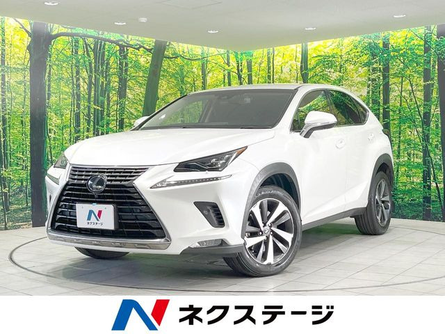 NX 200t Iパッケージ