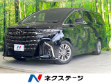 ガラスルーフ 両側電動ドア 後席モニター 全周囲カメラ