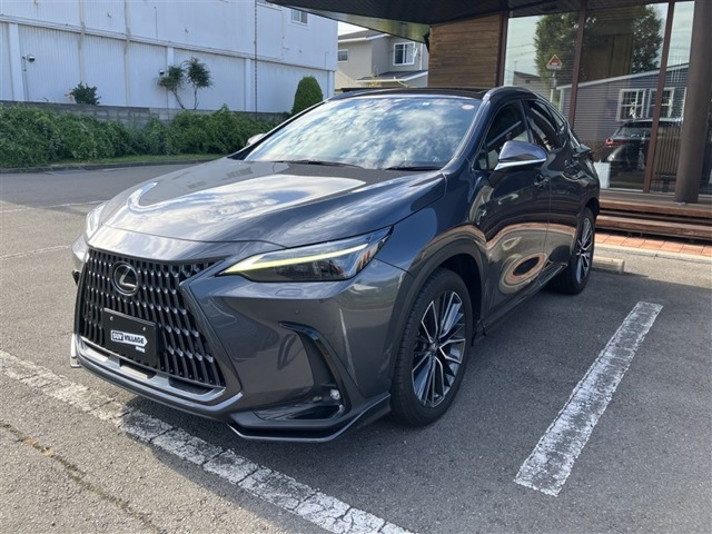 NX 250 バージョンL NX 250 バージョンL