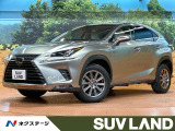 禁煙車 純正10型ナビ バックカメラ レーダークルーズ 電動リアゲート