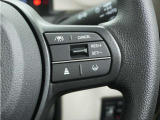◆アダプティブクルーズコントロール◆予め設定した車速内でクルマが自動的に加減速。前走車との適切な車間距離を維持しながら追従走行します。【LKAS】車線維持支援システムでステアリング操作を支援。