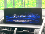 NX 300h 