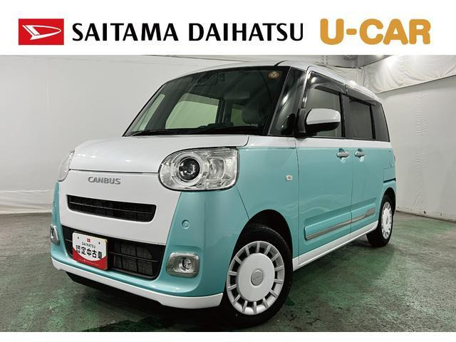 ムーヴキャンバス  ストライプス G