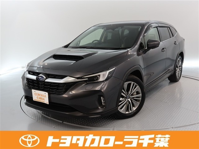 レヴォーグレイバック リミテッド