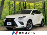 レーダークルーズ 禁煙車 BSM 電動リアゲート 黒革シート ETC