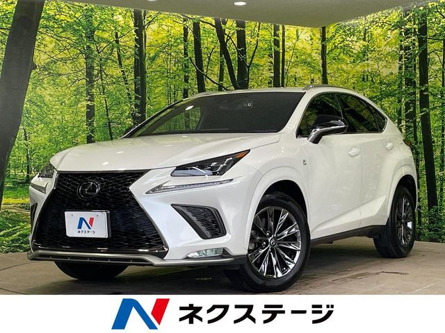 NX 300 クール&ブライト 特別仕様車