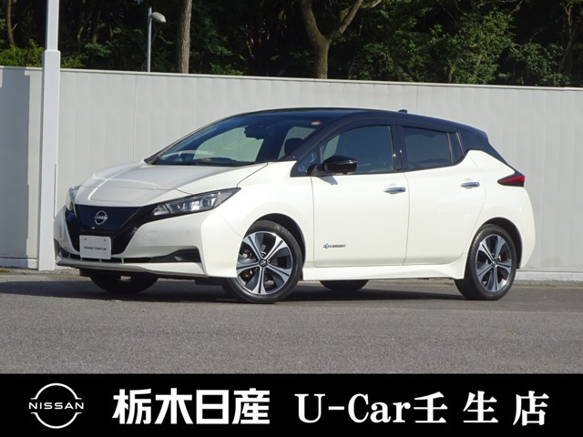 リーフ  X Vセレクション