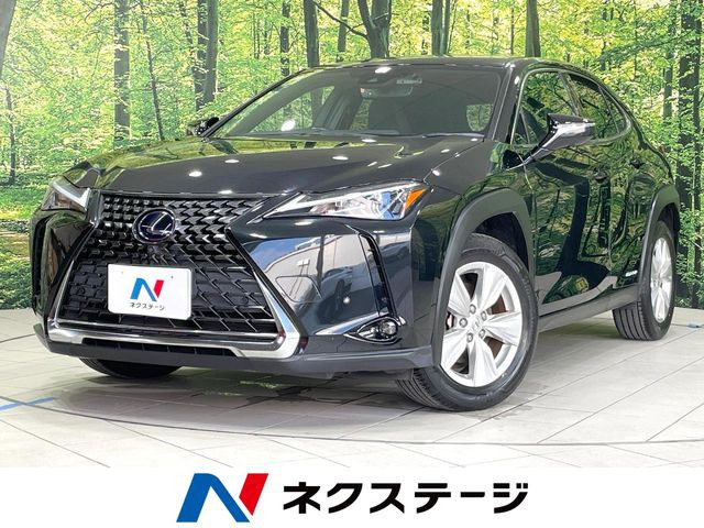 UX 250h バージョンC 