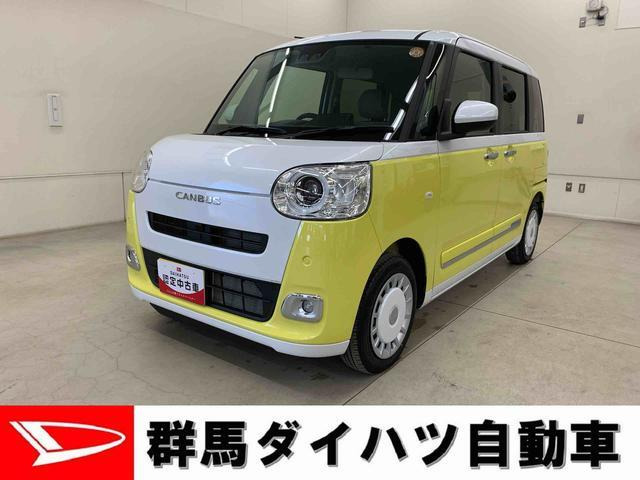 ムーヴキャンバス  ストライプス G