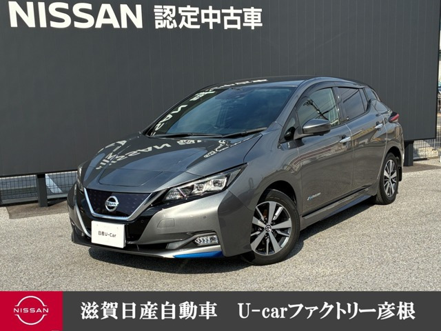 リーフ X 
