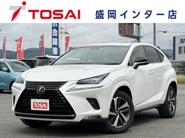 NX 300 ブラック シークエンス 4WD