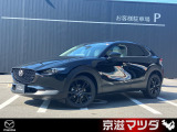 弊社で使用していた試乗車アップのお車になります。