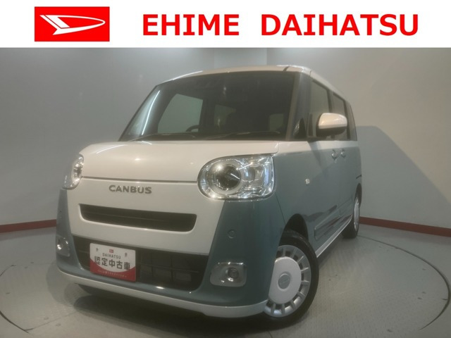 ムーヴキャンバス  ストライプス G
