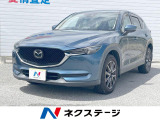 沖縄県内での販売・登録が条件※宮古島除く