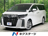 両側電動ドア バックカメラ 衝突軽減 レーダークルーズ コーナーセンサー