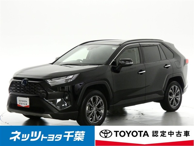 RAV4 2.5 ハイブリッド G E-Four 4WD （6AA-AXAH54）